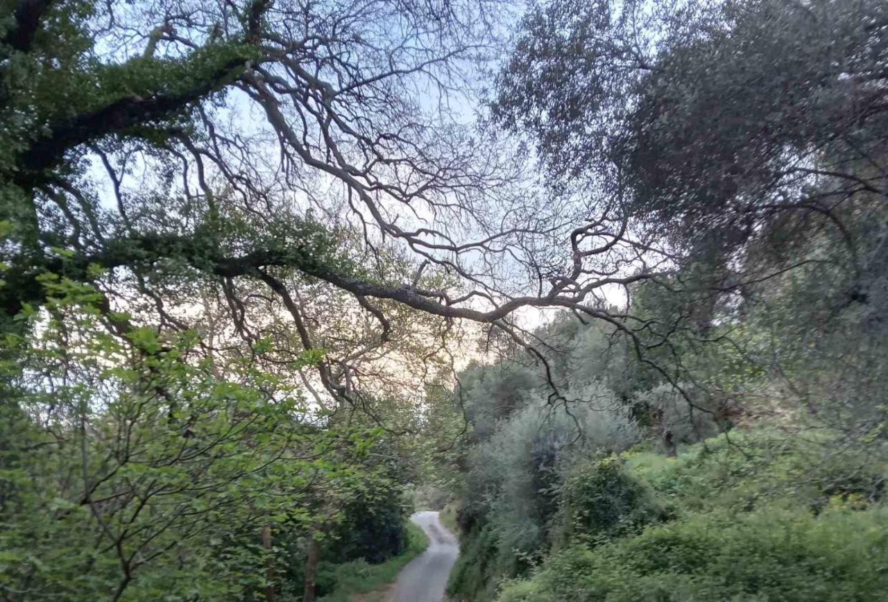 Villa Koomas - Kakodiki Paleochora Avdhouliana Εξωτερικό φωτογραφία