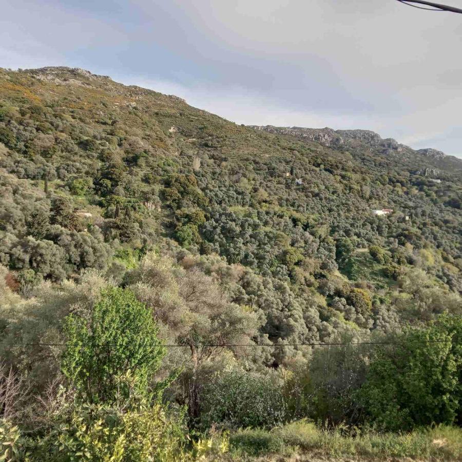 Villa Koomas - Kakodiki Paleochora Avdhouliana Εξωτερικό φωτογραφία